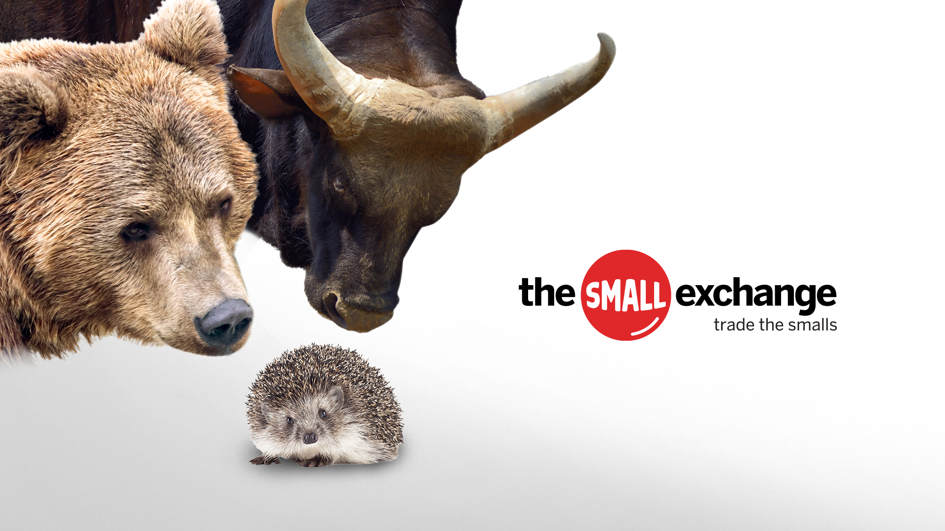 Photo-illustration on white background: at left, a hedgehog looks at the viewer as a bear and a bull look down at it. At right, the logo of The Small Exchange with tagline: "trade the smalls"