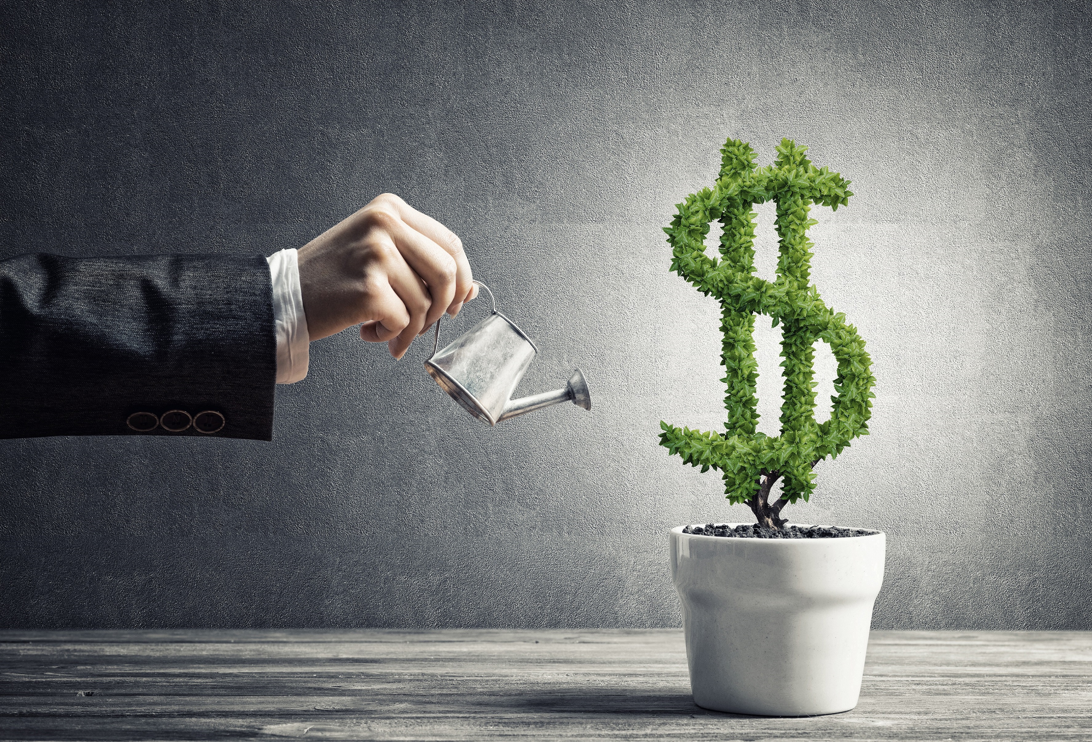 Hand of person in suit, holding tiny watering can, watering potted topiary shaped like dollar sign.